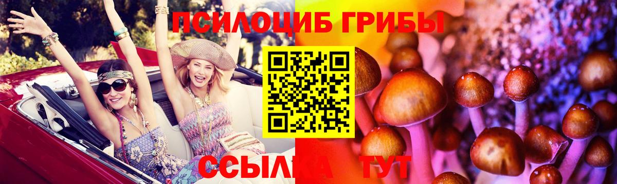Псилоцибиновые грибы Magic Shrooms  купить закладку  Гагарин  Вход с VPN 